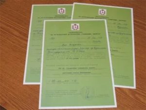 Как получить региональный материнский капитал в нижегородской