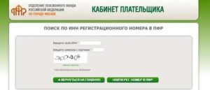 Регистрационный номер пфр что это такое