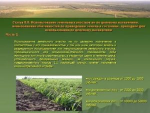 Если земельный участок не используется по назначению