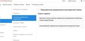 Как Оформить Бесплатную Парковку Для Многодетных В Москве