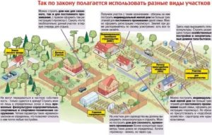 Если земельный участок не используется по назначению