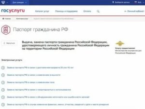 Замена Паспорта На Госуслугах Какое Фото Надо Прикрепить