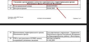 Регистрационный номер пфр что это такое