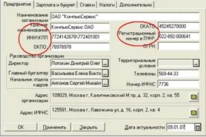 Регистрационный номер пфр что это такое