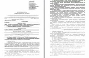 Образец срочный трудовой договор на 2 месяца