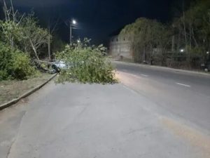 Сбил и скрылся с места дтп