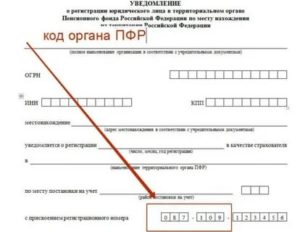 Регистрационный номер пфр что это такое