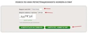 Регистрационный номер пфр что это такое
