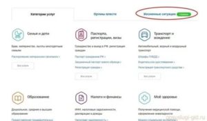 Как восстановить права при утере через мфц