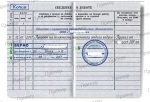Входит ли в трудовой стаж производственная практика
