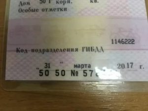 Стс нового образца без печати 2020