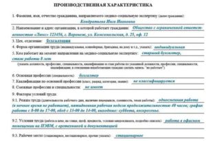 Производственная характеристика на мсэ на бухгалтера