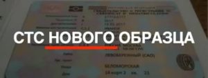 Стс нового образца без печати 2020
