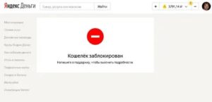 Яндекс кошелек в каком случае могут заблокировать государство власти приставы