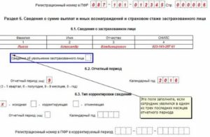 Регистрационный номер пфр что это такое