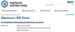 Онлайн сервис обратиться в фнс россии