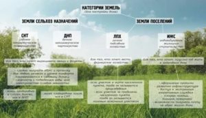 Если земельный участок не используется по назначению
