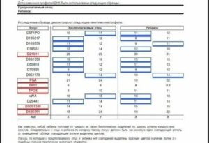 Сколько Стоит Тест Днк На Отцовство В Кирове